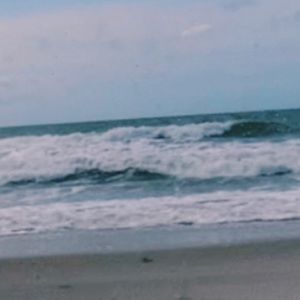 Meet your Posher, Meadow